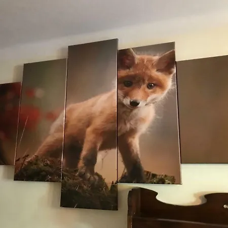 Pokoje U Liska *